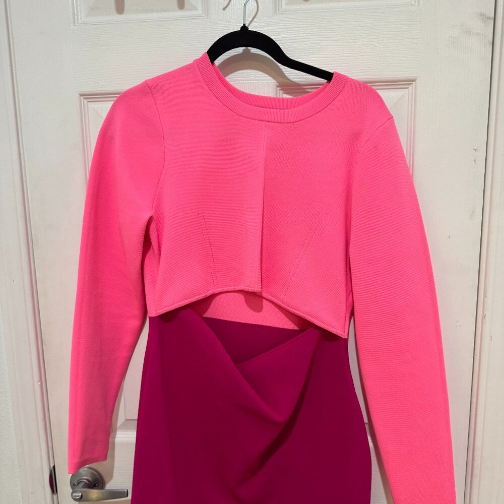 Fitted long sleeve mini dress